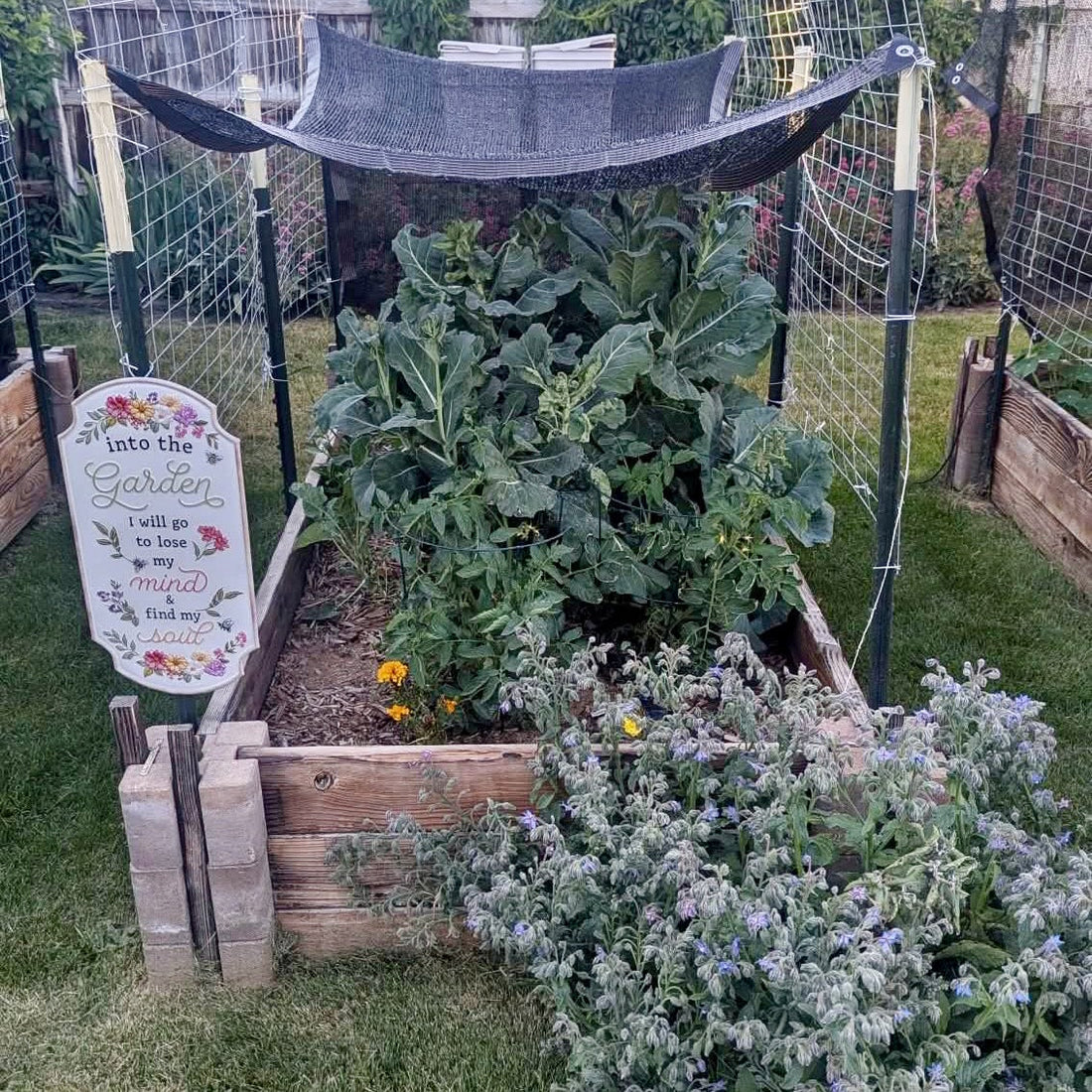 Learn how to read soil moisture and adjust your Thirsty Earth olla reservoir so your garden gets exactly the water it needs — no guessing, no waste.