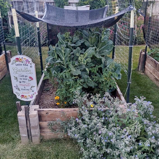 Learn how to read soil moisture and adjust your Thirsty Earth olla reservoir so your garden gets exactly the water it needs — no guessing, no waste.