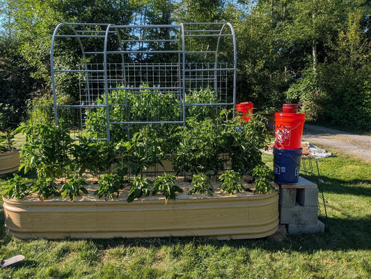 Learn how to read soil moisture and adjust your Thirsty Earth olla reservoir so your garden gets exactly the water it needs — no guessing, no waste.