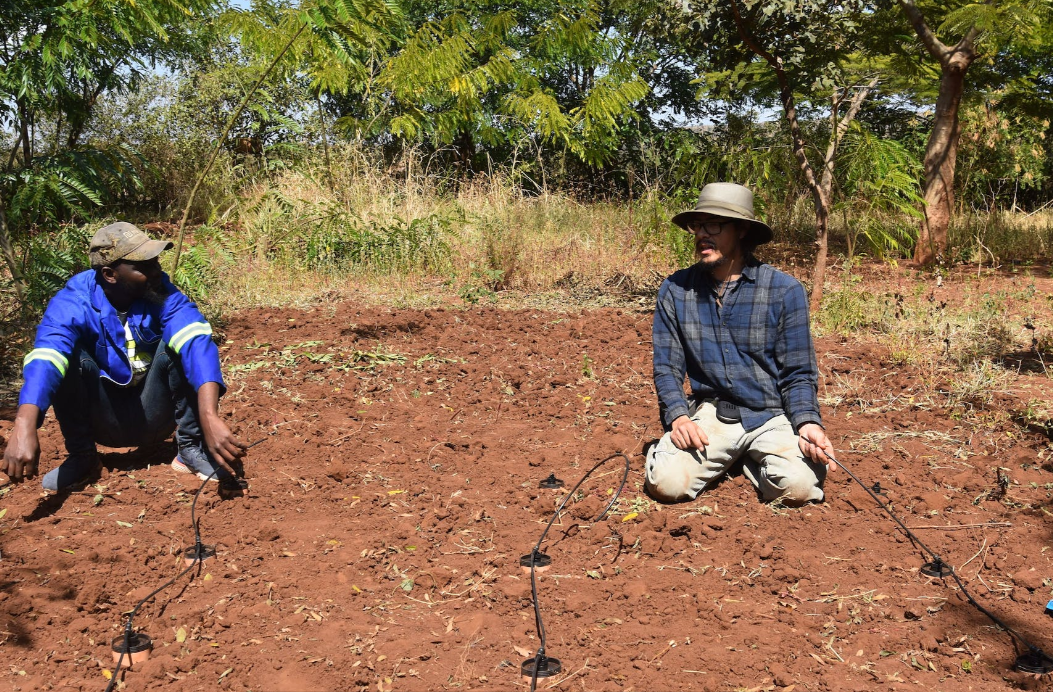 Thirsty Earth ollas being installed