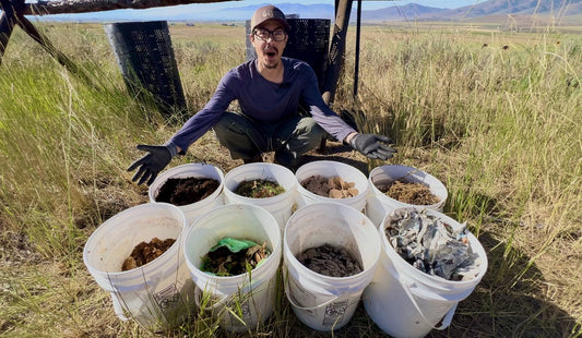 best outdoor compost bin