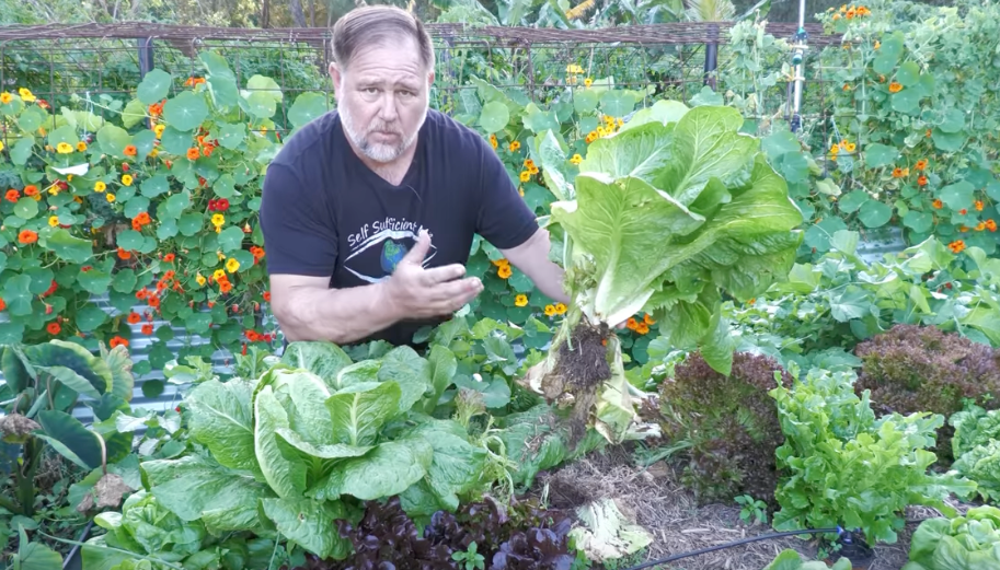 VIDEO: SAVE WATER and GROW BIGGER at the SAME TIME with Olla Irrigation!