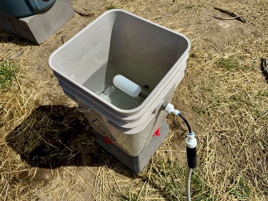 Automatic chicken watering system