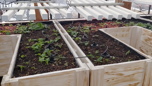 VIDEO: Grow Fresh Food All Winter With a Self-Watering Olla Garden