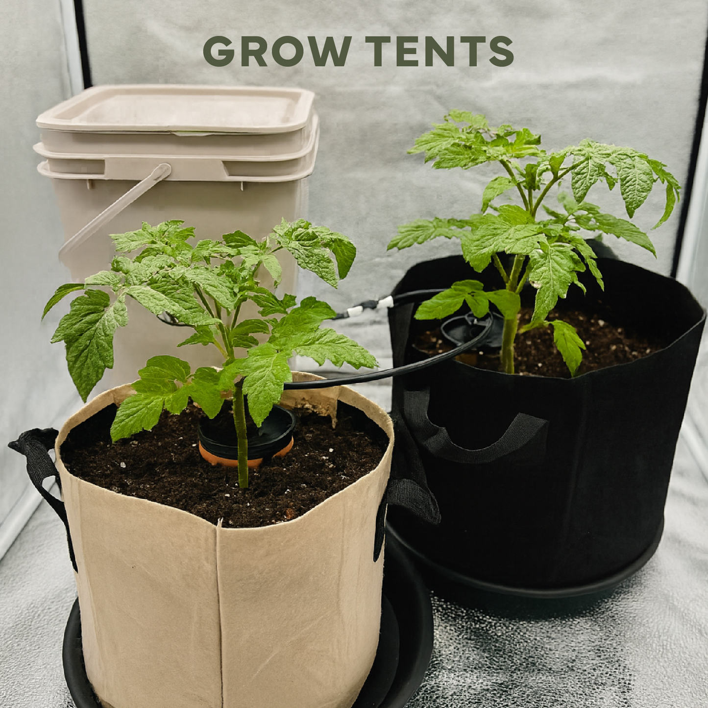 Thirsty Earth: Indoor/Outdoor CottaCup Watering System For Containers & Grow Bags