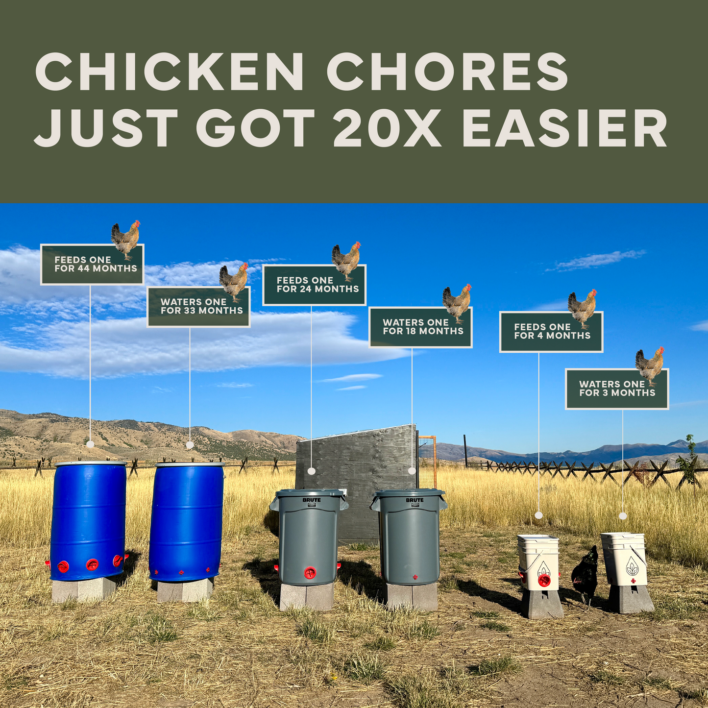 Easy Chicken Feeder and Automatic Chicken Waterer Kits – Chicken Chores Just Got 20X Easier