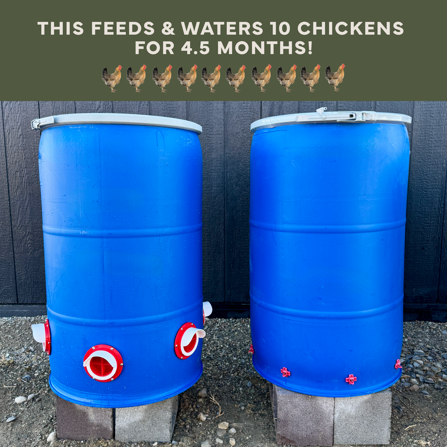 New Easy Chicken Feeder and Automatic Chicken Waterer Kits – Chicken Chores Just Got 20X Easier
