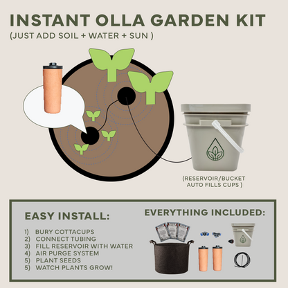 NEW Instant Olla Garden Kit – The Beginner's Self-Watering Indoor/Outdoor Container Garden