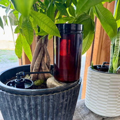 Thirsty Earth: Indoor/Outdoor CottaCup Watering System For Containers & Grow Bags